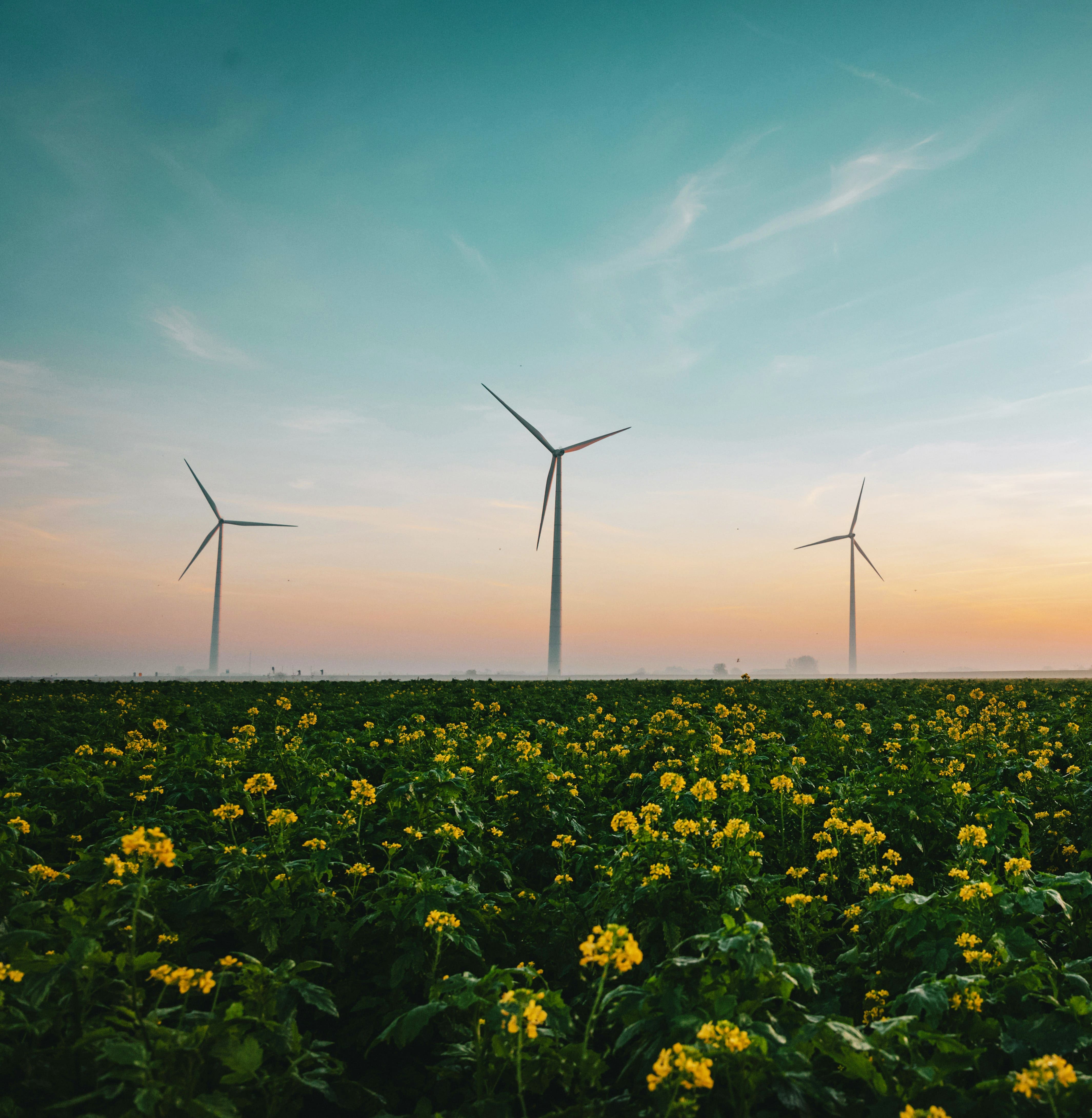 Tim van der kuip d33h Yz i QEY unsplash